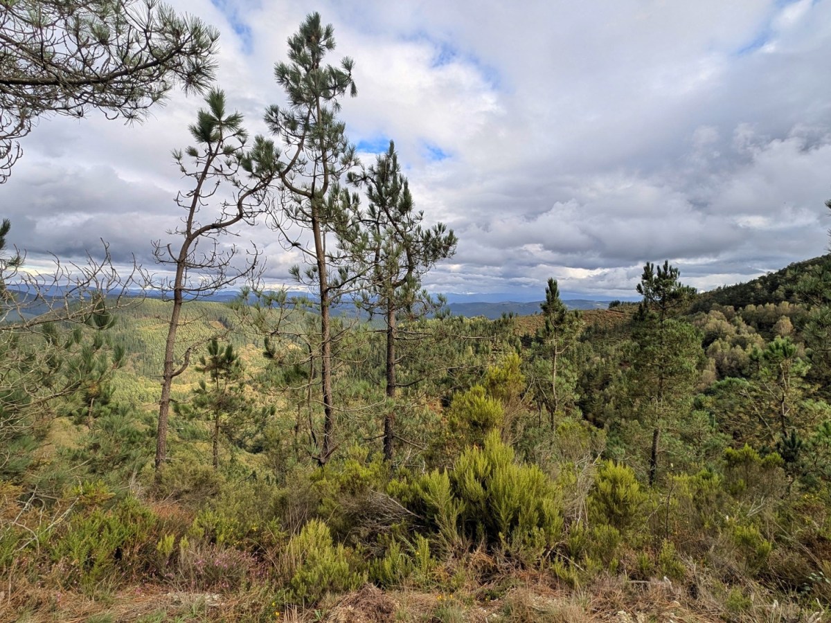 Tag der fallenden&nbsp;Wasser