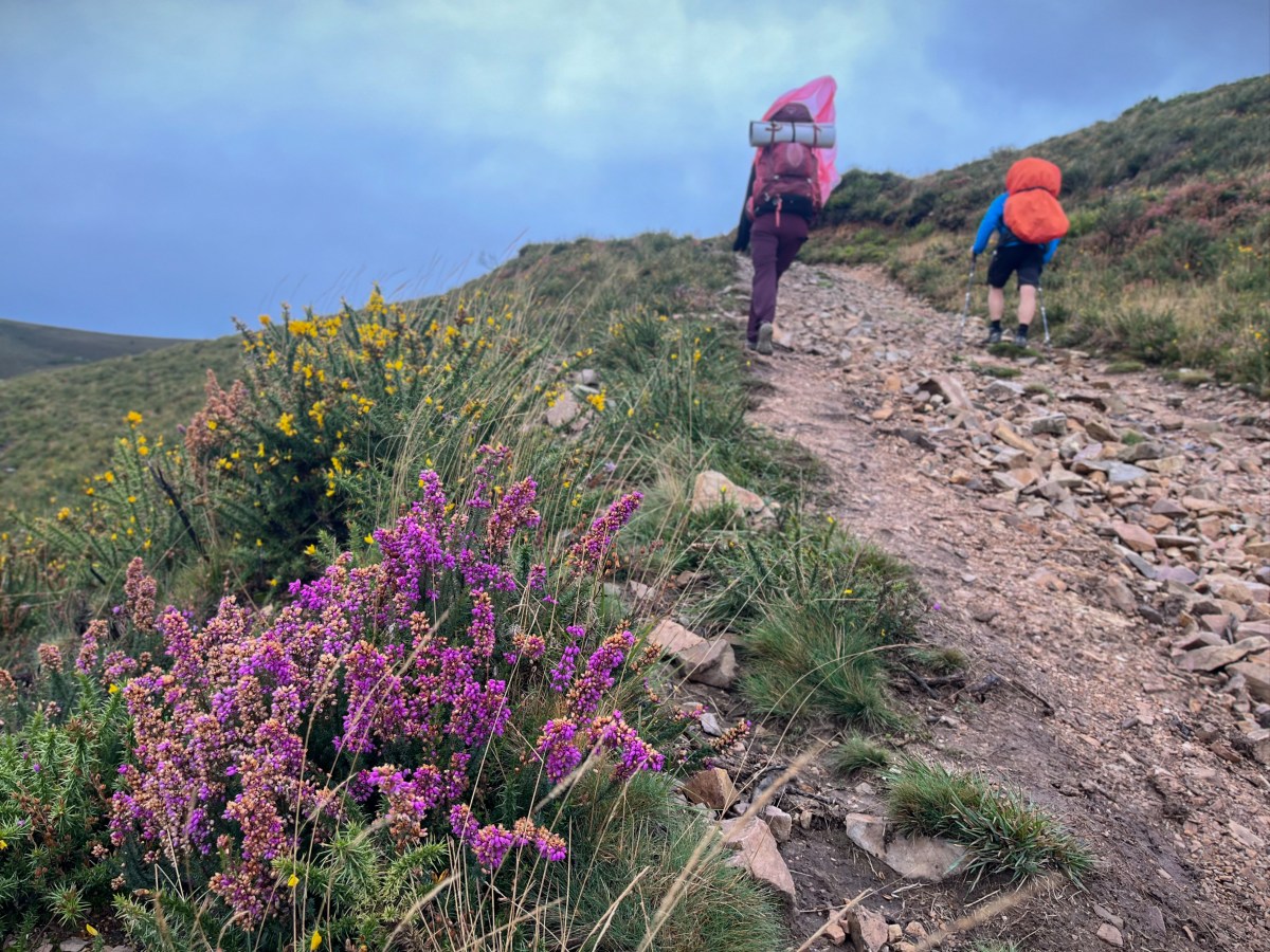Als die Ponchos fliegen&nbsp;lernten