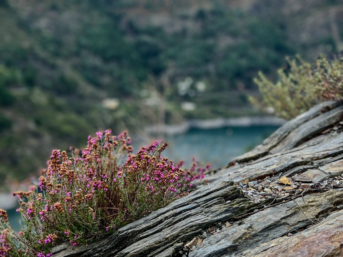 Still ruht der&nbsp;See