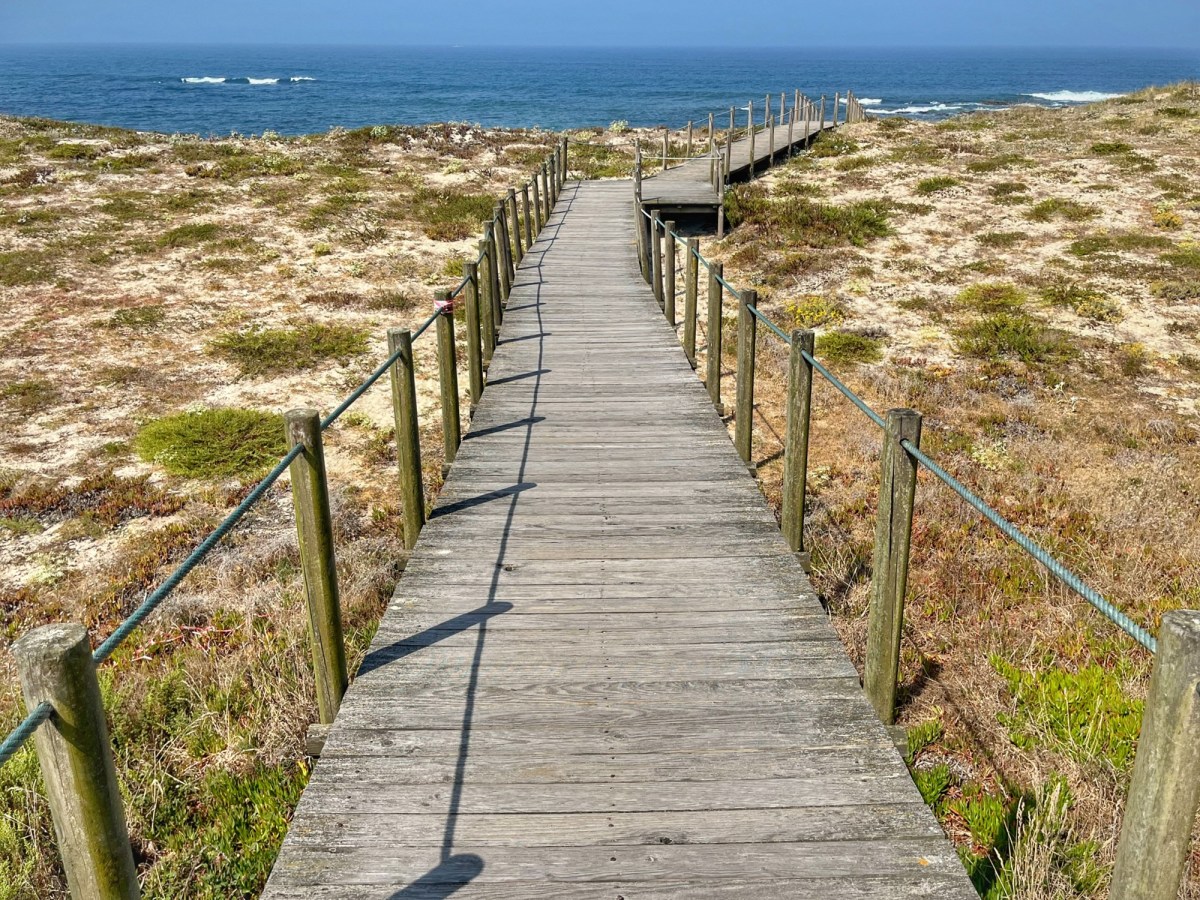 Wer ist auf dem&nbsp;Holzweg?