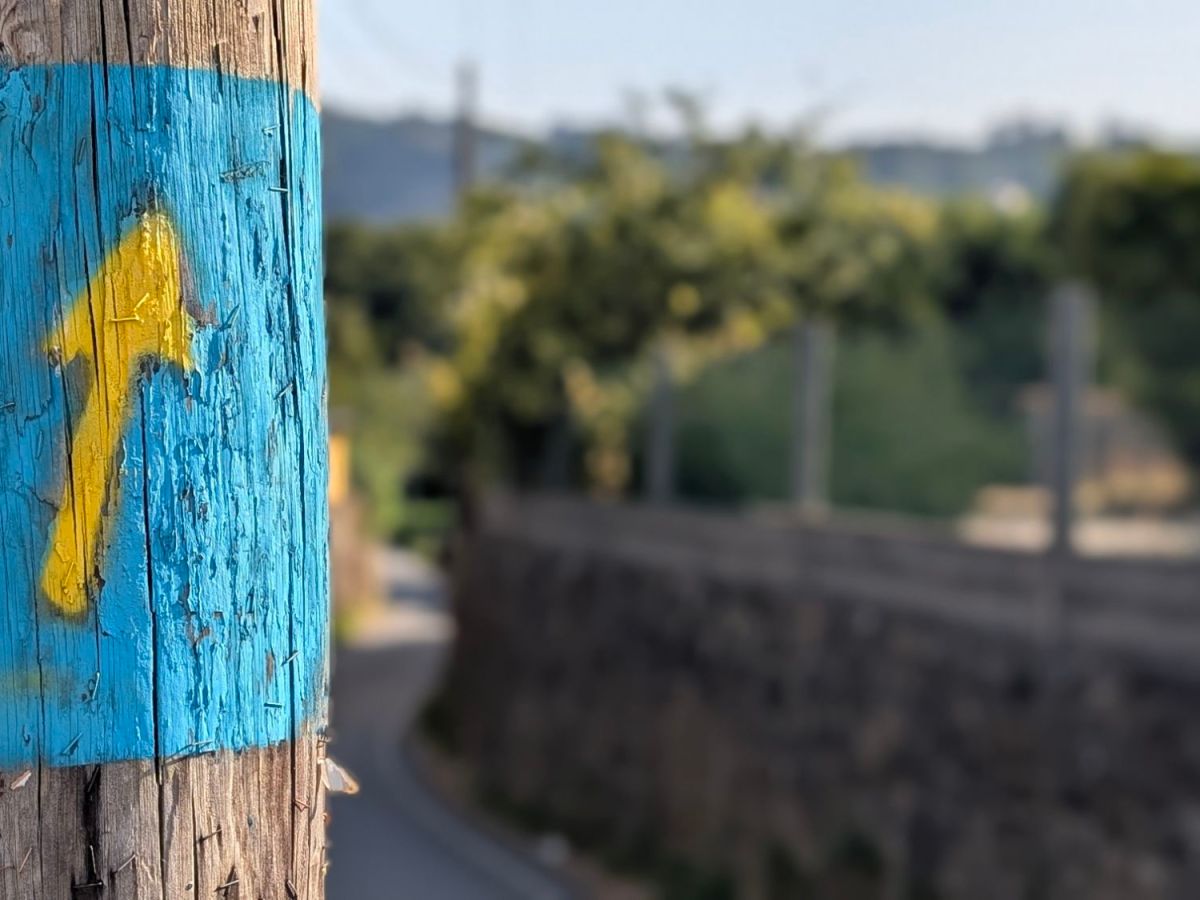 Es ist ein gnadenloser&nbsp;Bettkampf